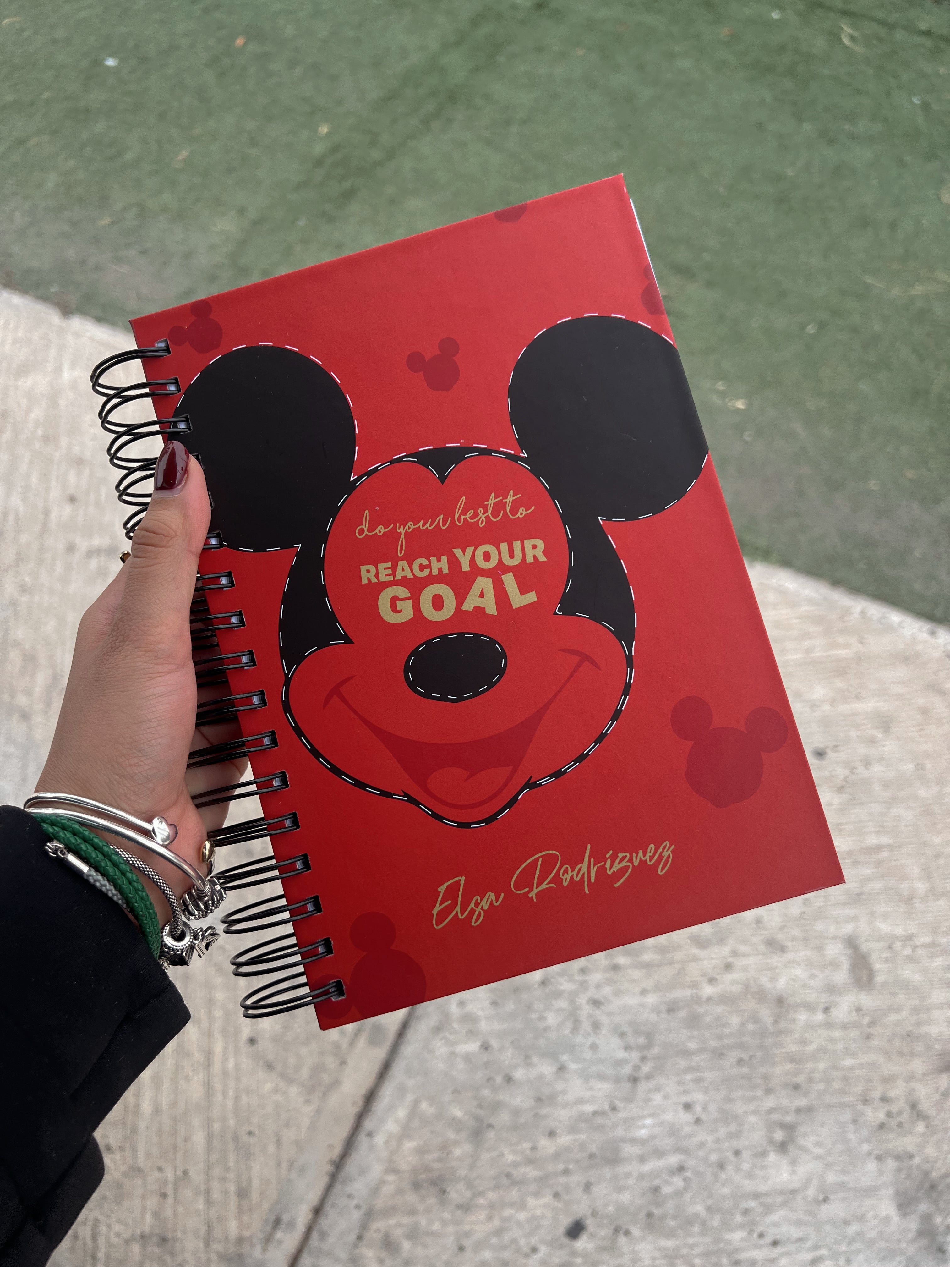 Agenda Mickey 2026